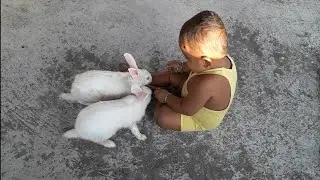 Baby & Rabbit Playing // Funny Video