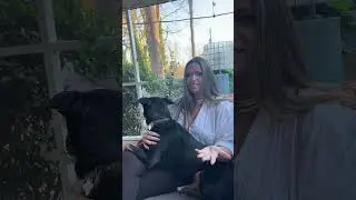Sarah Review of the Achieve Today Coaching!