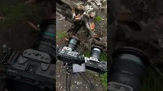 Sony FX30 vs Sony ZV-E10 II 🤔