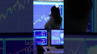 In focus: The visible hands in power market