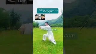 240651-Horse Stance and Push Palms.
