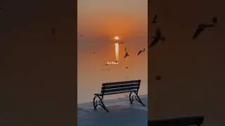 Lag raha hai qayde se | Pritam, Arijit Singh, Amitabh Bhattacharya | WhatsApp Status | Lyrics Status