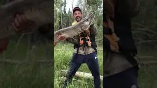 How astronauts changed fishing