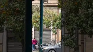 Orange on Road Rome Bus terminal #vlog #travel #trip #europe #italy #shopping #vacation #ancientrome