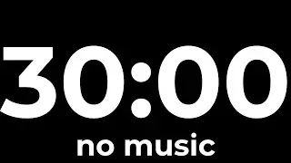 30 Minute Silent Timer ⏳ Clean Minimalist Countdown for Deep Productivity