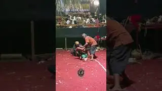 PERLAHAN DI SEMBUHKAN #kesurupan #kudalumping #jaranan #jathilan