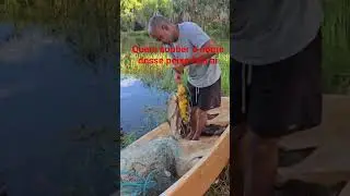 #peixe#pescaria#tucunare#lago#alegria#sitio