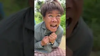 Little furry kid gunman, hahaha. #Funny #Cute pet debut plan