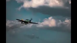 T-27 Tucano Juniaer 55cc - Neto Ribeiro