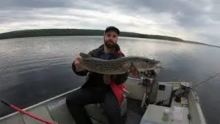 Walleye and Pike Fishing in Alberta, Lakeland Provincial Recreation Area (drone)
