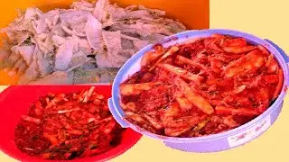 How to make simple KIMCHI || By MK Cooking Life