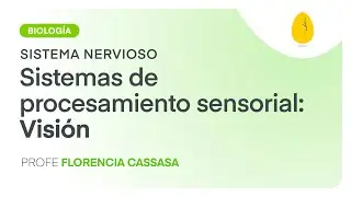 SPSensorial: Visión | Biología | Sistema Nervioso | V11 | Egg Educación