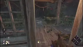 dead by daylight bug floating grass thing