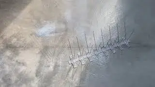 Masterspikes &ndash; Bird Deterrent Spikes by Mastermark