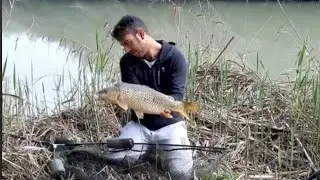 🇳🇬🇪🇸 .Nature Live. Carpa de Río Genil (Sevilla). 2020