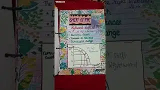 CLASS 11 PROJECT EFFECT OF PPC ON GOVERNMENT POLICIES ECONOMICS CLASS 11