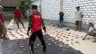 pembagian daging qurban dari pcpm