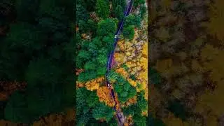 16K NATURE SHORT, DO SUBSCRIBE FOR MORE VIDEO