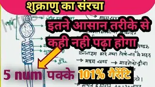 शुक्राणु कि संरचना | Structure of sperm | class 12 &10 biology #upboardexam2026 #important #upboard 