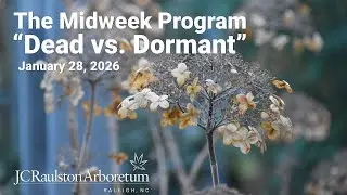 The Midweek Program - 