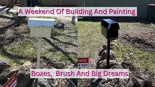 New Garden Stool + Painting Transformation 🛠️| From Boxes to Big Dreams 🎨