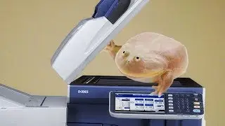 wednesday &rarr; edit &rarr; copy