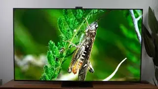TCL X11 Review | QD-Mini LED TV with HDR brightness 2000nit!