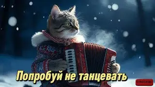 Клипы для Души 🔥 Лучшие Новинки | 29 декабря 2025#русскиепесни #музыка #music
