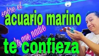 Lo que nadie te dice de su acuario marino