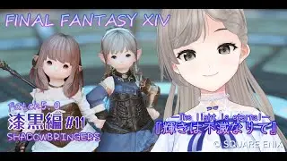 【#FF14】漆黒編11『輝きは不滅なりて』patch5.0【2周目ヒカセン2人旅】