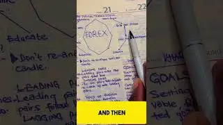 Forex Traders Cycle