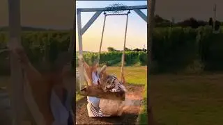 Try Not to Laugh Challenge part 252🤣🤣#funny #shorts #video #trending #memes #maniac