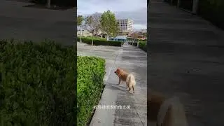 创业者要学会躺着赚钱而不是跪着亏钱