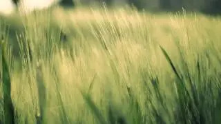 &asymp;Ocralab - Breeze&asymp;