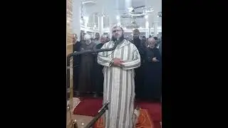 cat kisses imam in tarawih prayer in algeria