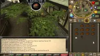 Runescape Max Cape From Scratch: Ep 1