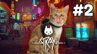 Stray #2 - Conhecendo o amigo robô nas Favelas!