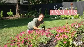 Heat Loving Annuals | Gardener in Love
