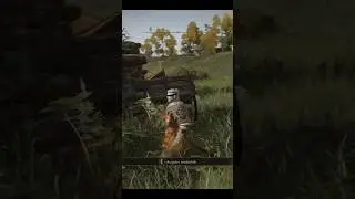 Elden Ring 60 secs no death clip #gamingshorts #eldenring #nodeathchallenge