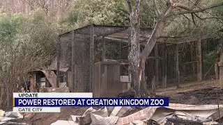Power restored to animal areas in Creation Kingdom Zoo