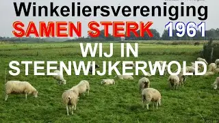 ParadijsTV presents:Wij in Steenwijkerwold 1960  duur 132 min