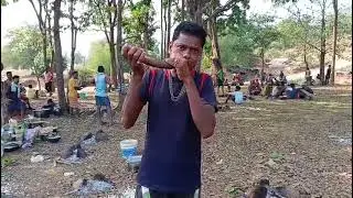 Bastariya turturi baja।bastar vlogs।#blogger #bastarmela #amchobastar