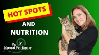 Hot Spots and Nutrition in Dogs and Cats with Dr. Katie Woodley - The Natural Pet Doctor