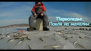 Зимняя рыбалка. Корюшка малоротка на махалки.