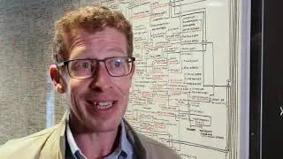 Dominic Lusardi, digital guru, testimonial