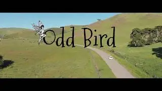 BPFF 2020 Odd Bird Trailer