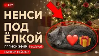 НЕНСИ ПОД ЁЛКОЙ 🎄 Охота на лазер и мышку | ПУПС зайдёт в гости?
