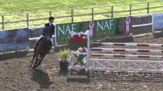 Showjumping - Chepstow Small Tour