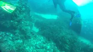 Scuba diving Spain  Costa Brava, Buceo en el Mar
