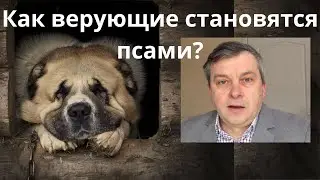 Как верующие становятся псами? Наше упование только на Христа. Пометки на полях. Субботняя школа.